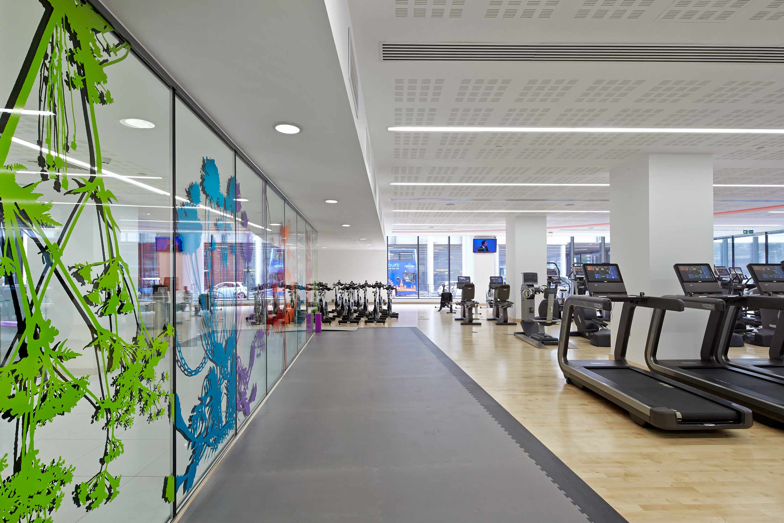 Modern gym facility